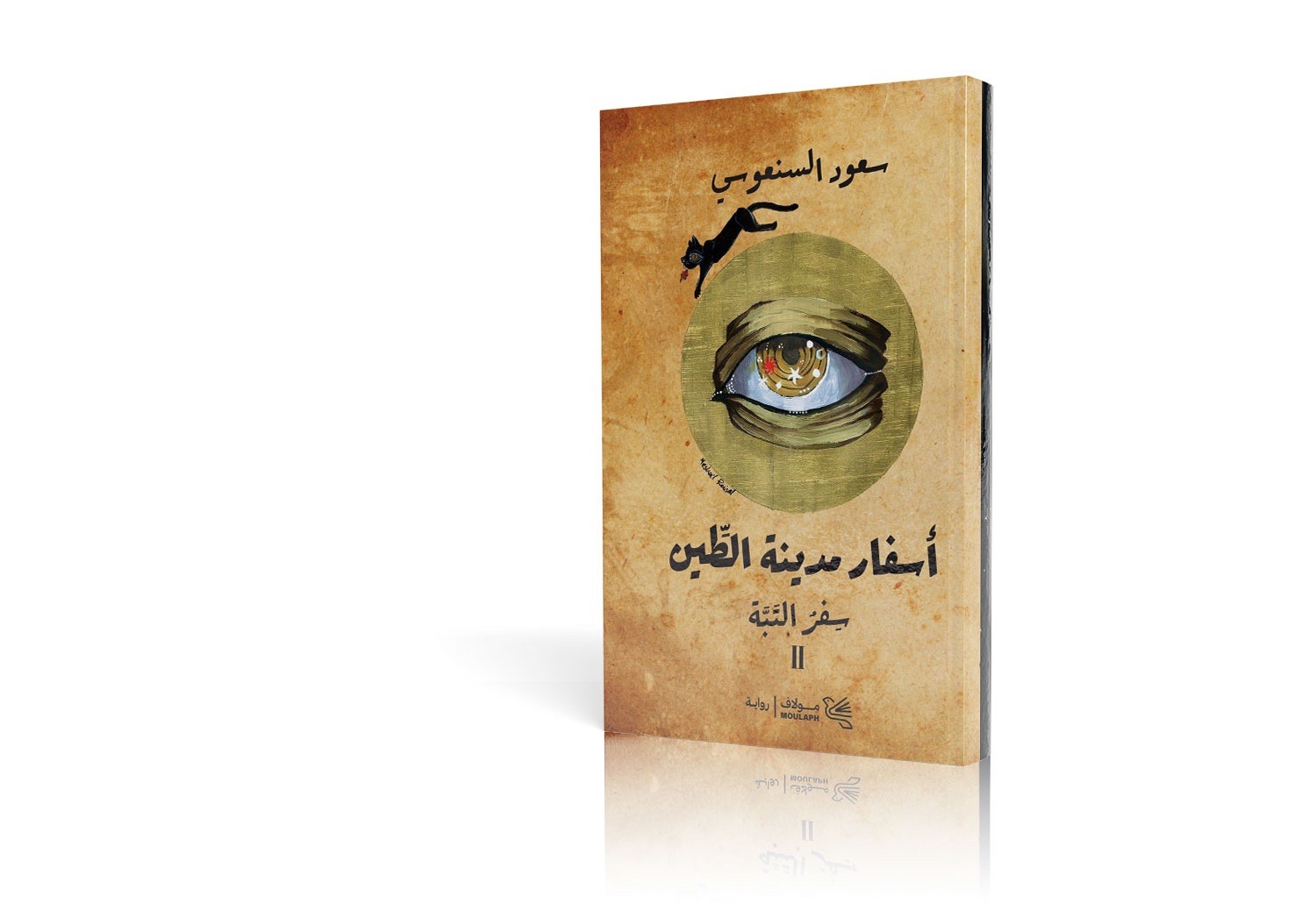 أسفار مدينة الطين